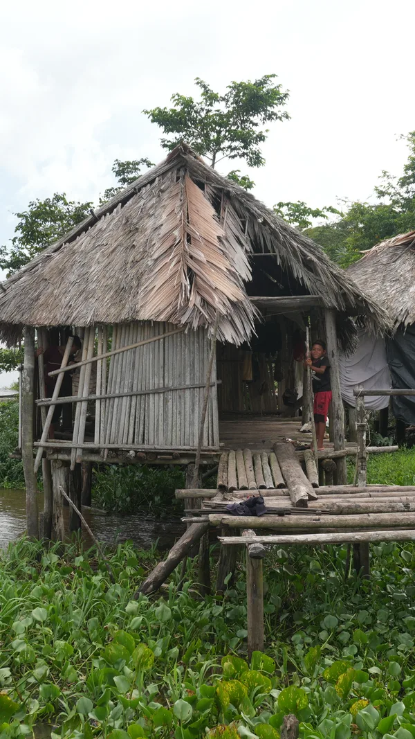 Palafito de techo de palma junto al río, con un niño asomado a la entrada